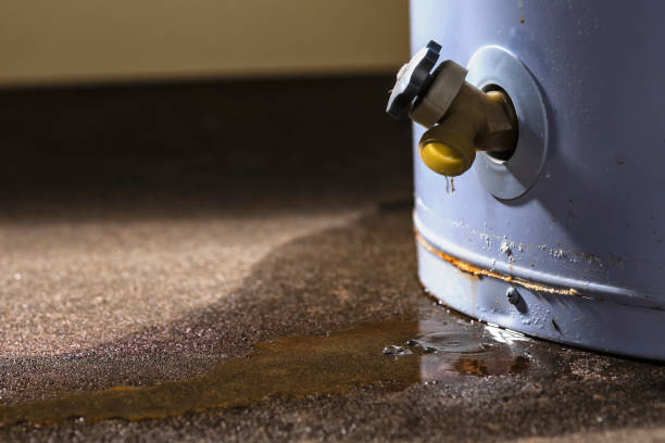 Best Carpet water damage restoration  in Shelley, ID