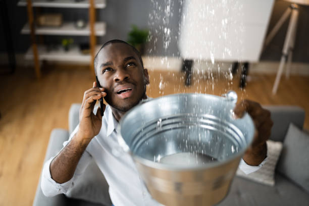 Carpet water damage restoration in Shelley, ID