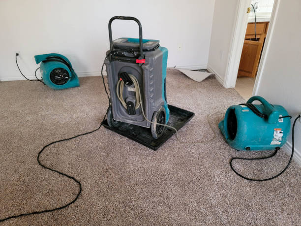 Best Emergency water extraction  in Shelley, ID