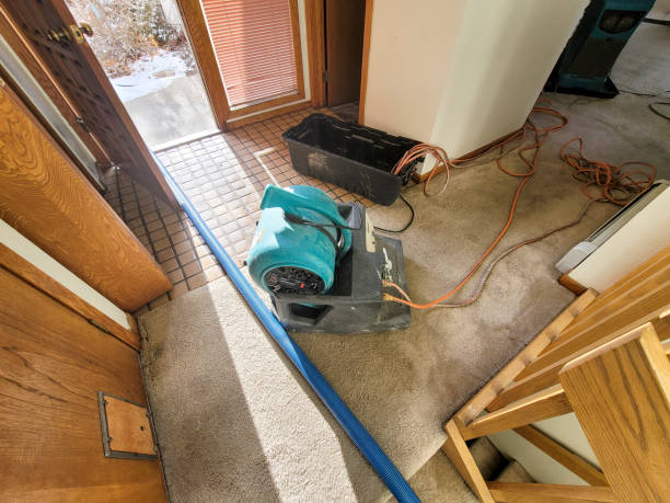 Best Flooded house restoration  in Shelley, ID