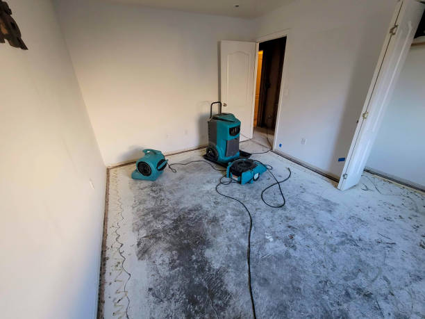 Best Commercial water damage restoration  in Shelley, ID