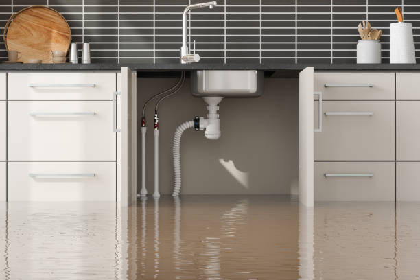  Shelley, ID Water damage restoration Pros